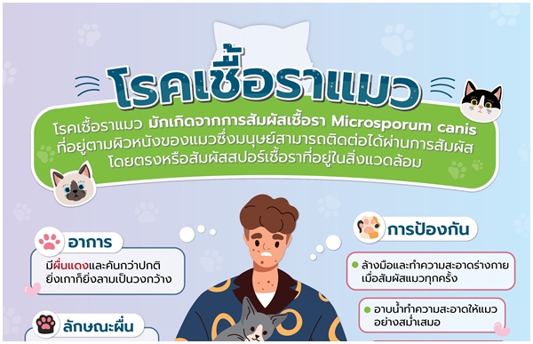 ทาสแมวอย่าเล่นเพลิน! "โรคเชื้อราแมว" อันตรายที่มากับการสัมผัสเจ้าเหมียว
