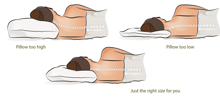 วิธีเลือกที่นอน, วิธีเลือกปลอกหมอน, กันไรฝุ่น, หมอนสุขภาพ, ท่านอน