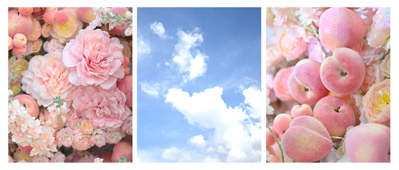 3 กลิ่นมหัศจรรย์ เปลี่ยนวันธรรมดาให้กลายเป็นโมเมนต์ตกหลุมรัก  ด้วย ดาวน์นี่ กลิ่นดอกไม้สดและลูกพีชที่ผสมผสานกลิ่นหอมจากไวท์พีชเกาหลี