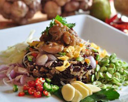 ABSOLUTE FIT FOOD  ครั้งแรกของเมืองไทยกับนวัตกรรมการทานอาหารเพื่อสุขภาพ  "อาหาร Gourmet เพื่อสุขภาพสำหรับผู้ที่รักการรับประทานอาหาร"