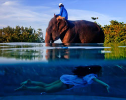 เอ แอนด์ อี เน็ตเวิร์คส์ เอเชีย จับมือกับ แคนอน สิงคโปร์ และทรูวิชั่นส์ เปิดรายการ "โฟโต้ เฟซ ออฟ" เรียลิตี้โชว์แห่งปี