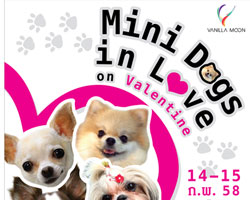 โครงการวนิลา มูน จัดกิจกรรมรักน้องหมา  ฉลองวาเลนไทน์ 14-15 ก.พ.2558