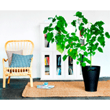 IKEA ขอชวนทุกคนมาแต่งบ้านใหม่แบบง่ายๆรับปีมะเส็ง