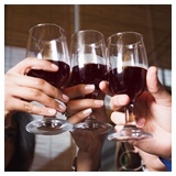 ค่ำคืนของคนรักชีสและไวน์ ในงาน Say Wine and Say Cheese!