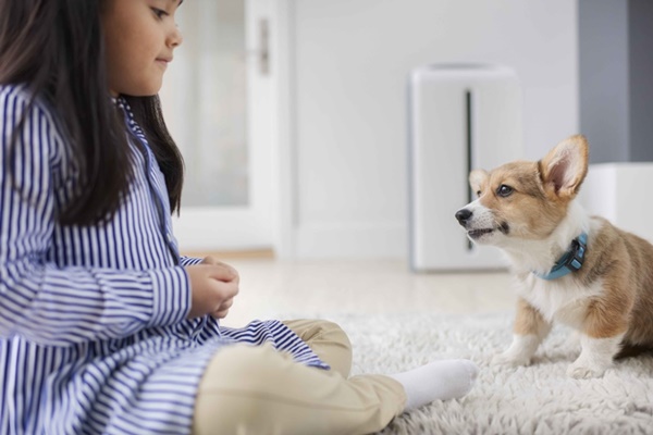 ฝุ่นพิษพุ่งสูง ยิ่งเล็ก ยิ่งอันตราย ดูแลก่อนป่วย ด้วยเครื่องกรองอากาศที่กรองได้เล็กที่สุด 