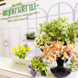 เดอะมอลล์..พฤกษาสยาม ไปดูดอกไม้กัน