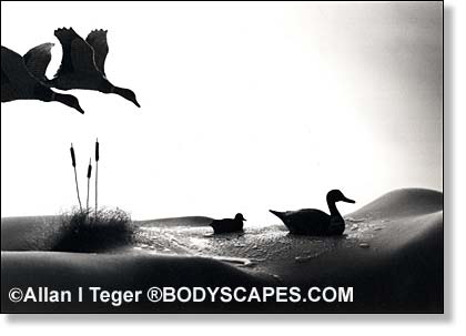 Body Art ศิลปะบนเรือนร่าง