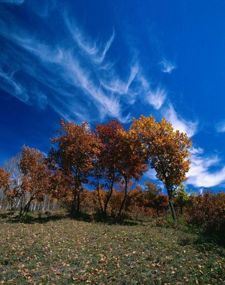 รูปภาพคอมเมนต์