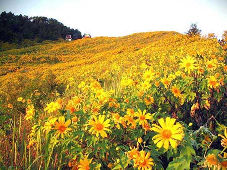 รูปภาพคอมเมนต์