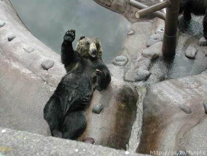 รูปภาพคอมเมนต์