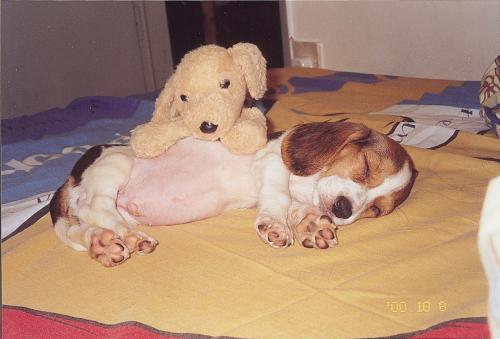 *-(ควันหลง) ภาพไฟไหม้ซอยสวนพลู สาธร จากTisco Tower-*