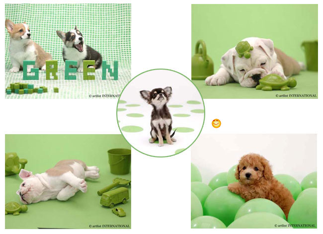 รูปภาพคอมเมนต์