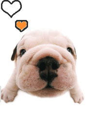 รูปภาพคอมเมนต์