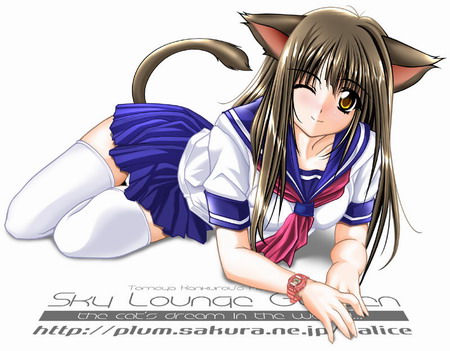 รูปภาพคอมเมนต์