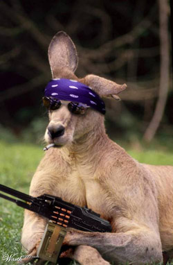 สาวน้อยเปลือยอกริมหาด ?