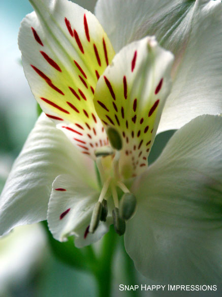 ปกป้องผิวในหน้าหนาวสำคัญที่ความชุ่มชื้น