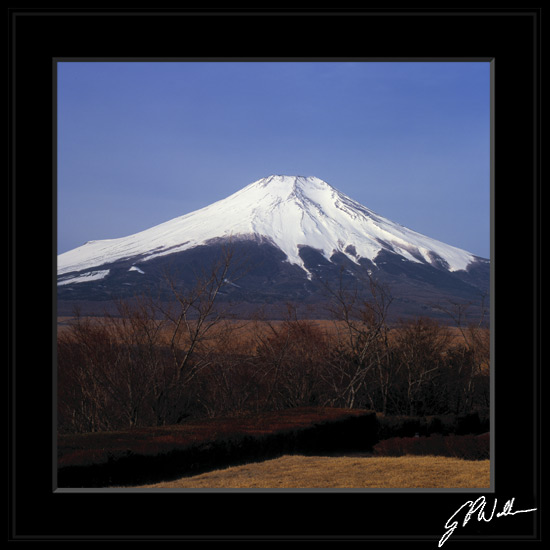 รูปภาพคอมเมนต์