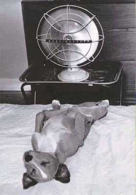 รูปภาพคอมเมนต์