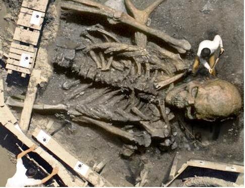 รูปภาพคอมเมนต์