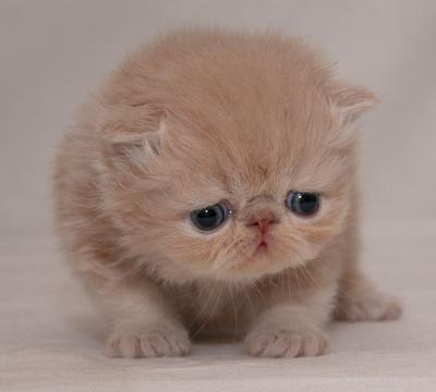 มันเศร้ามากเลยอ่ะ