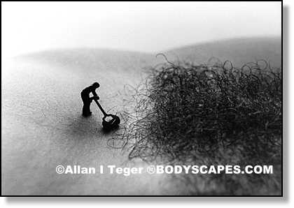 รูปภาพคอมเมนต์