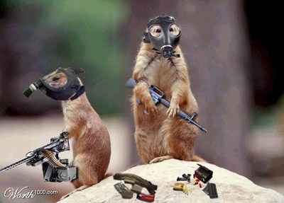 รูปภาพคอมเมนต์