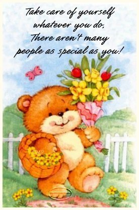 สวนต้นไม้กลายเป็นหิน (สวยมากๆ)