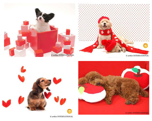 รูปภาพคอมเมนต์