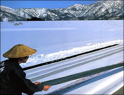 รูปภาพคอมเมนต์