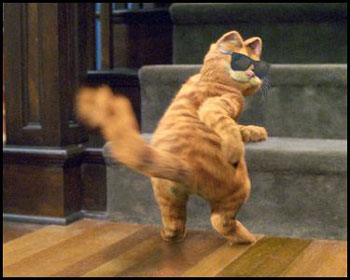 รูปภาพคอมเมนต์