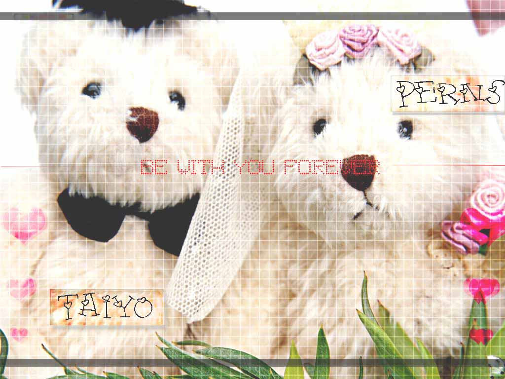 รูปภาพคอมเมนต์