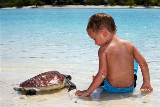 รูปภาพคอมเมนต์