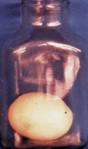 รูปภาพคอมเมนต์