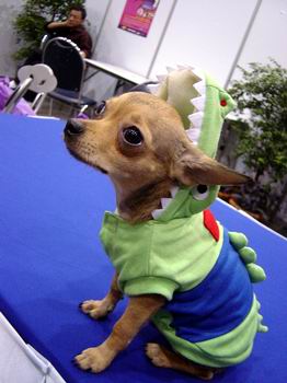 รูปภาพคอมเมนต์