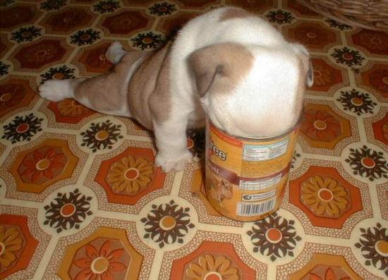 รูปภาพคอมเมนต์