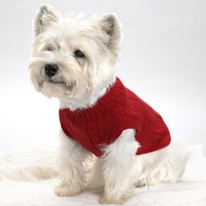 รูปภาพคอมเมนต์