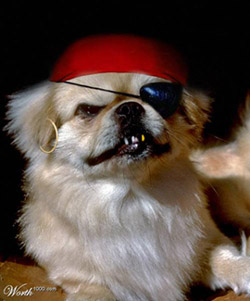 รูปภาพคอมเมนต์