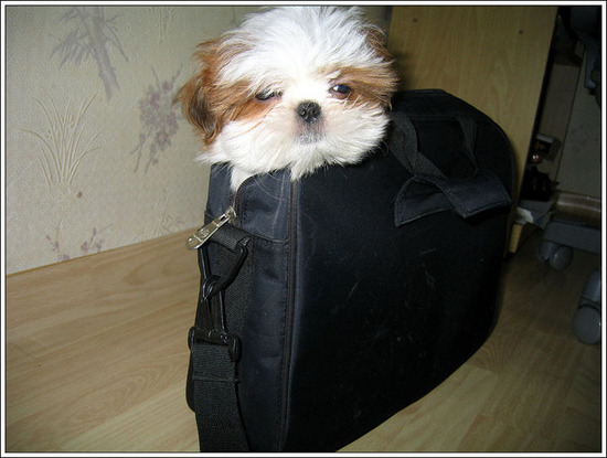 รูปภาพคอมเมนต์