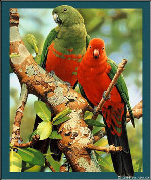 รูปภาพคอมเมนต์