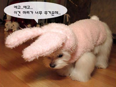 รูปภาพคอมเมนต์