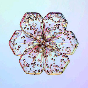 รูปภาพคอมเมนต์