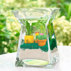 รูปภาพคอมเมนต์