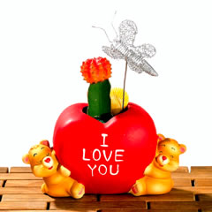 รูปภาพคอมเมนต์