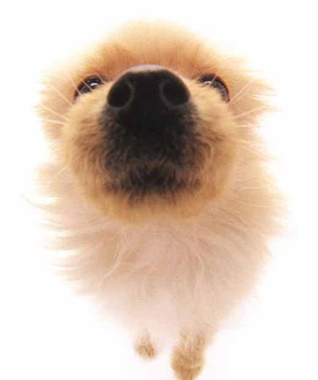 รูปภาพคอมเมนต์