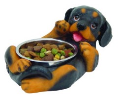 รูปภาพคอมเมนต์