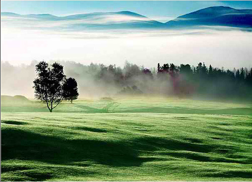 รูปภาพคอมเมนต์