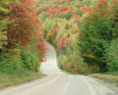 ถนนสวยๆค่ะ