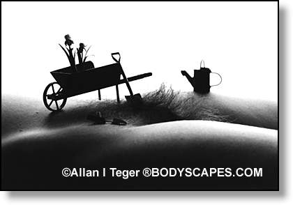 รูปภาพคอมเมนต์