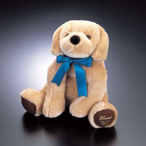 รูปภาพคอมเมนต์