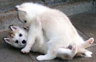 รูปภาพคอมเมนต์